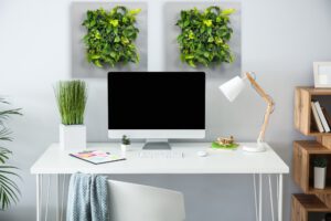 LivePicture 1 von Mobilane