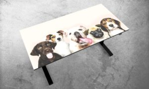 Gravit iDesk von Kesseböhmer