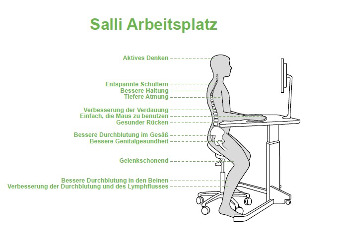 SwingFit von Salli
