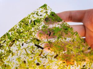 Mous Hellgrian von Organoid