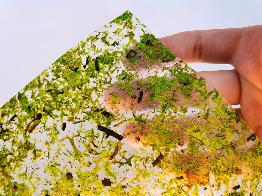 Mous Hellgrian von Organoid