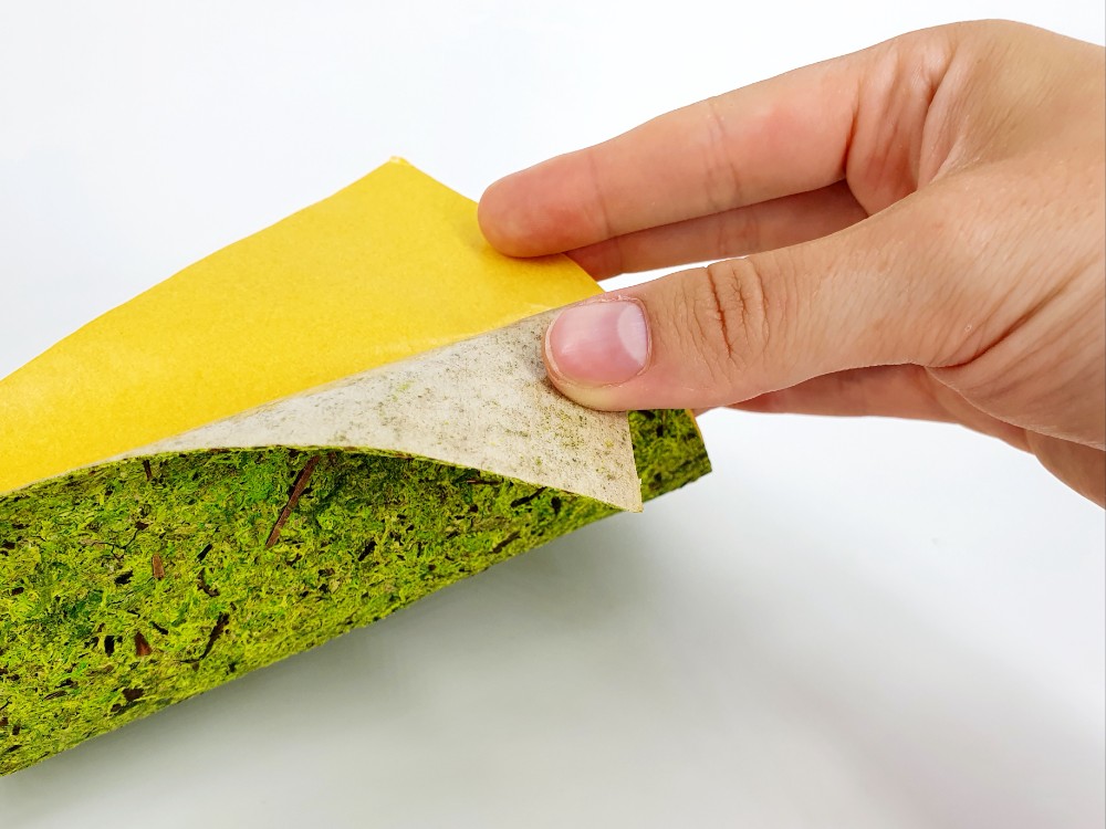 Mous Hellgrian von Organoid