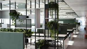 Combus von Narbutas 1