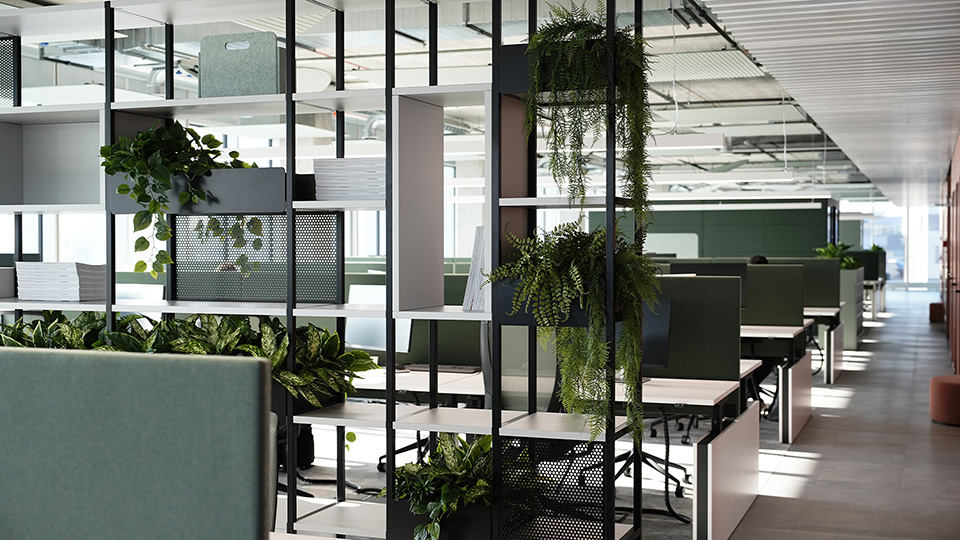 Combus von Narbutas 1