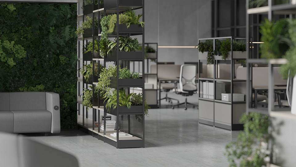 Combus von Narbutas 4